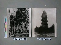 藏品(妙應塔（雲南）)的圖片